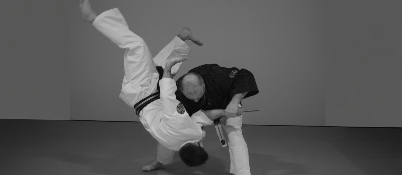 Nihon Taï Jitsu
